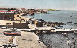 Mostaganem 617